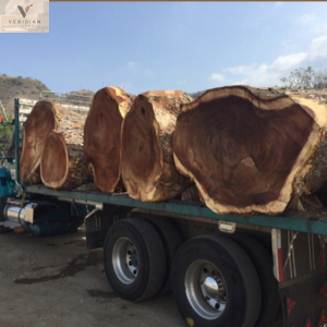 21 - Round Logs
