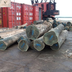 22 - Debarked Logs