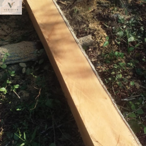 Castelo Boxwood or Ivorywood